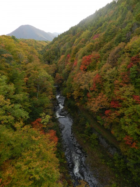 中津川渓谷の紅葉